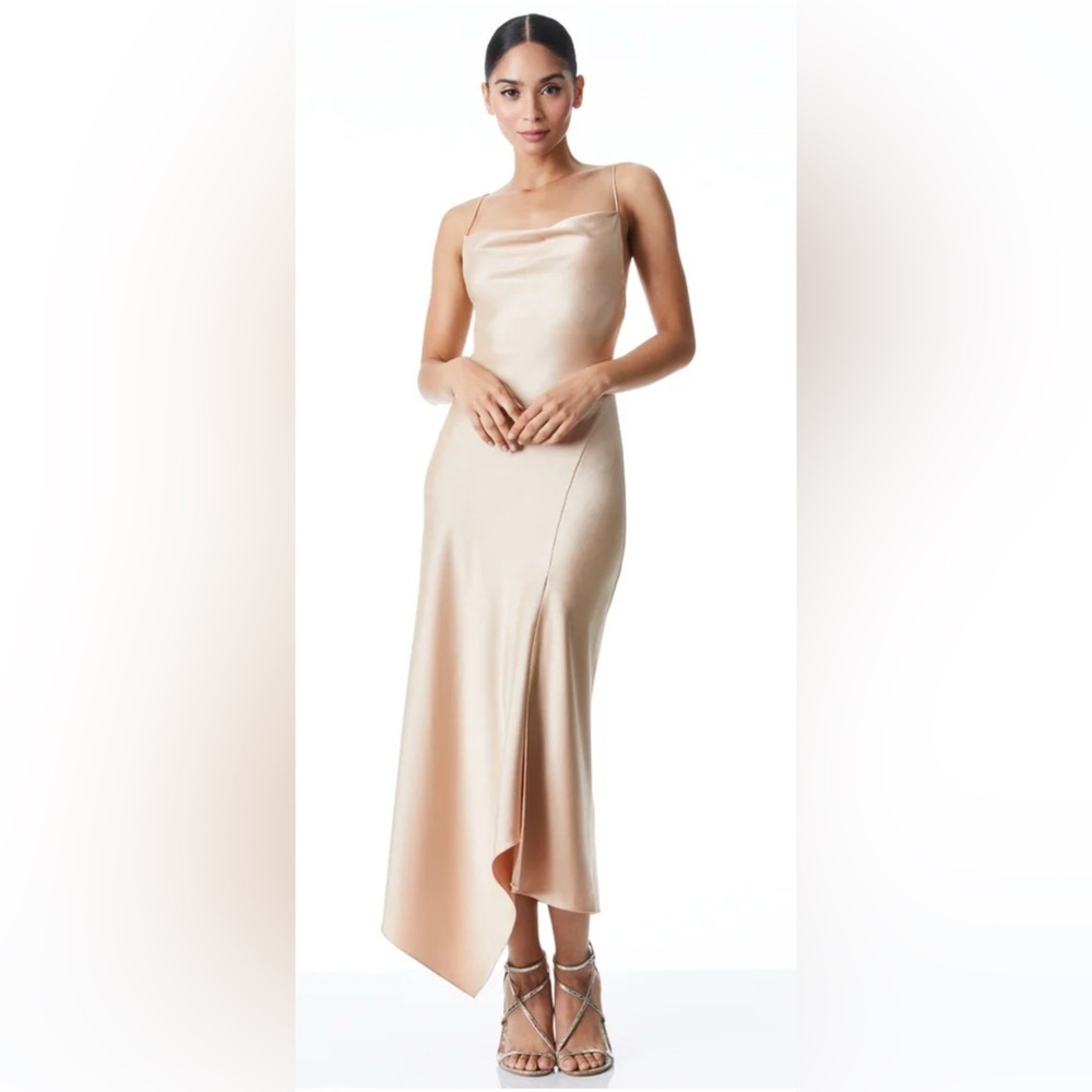Alice + Olivia HARMONY DRAPEY SLIP MIDI DRESS